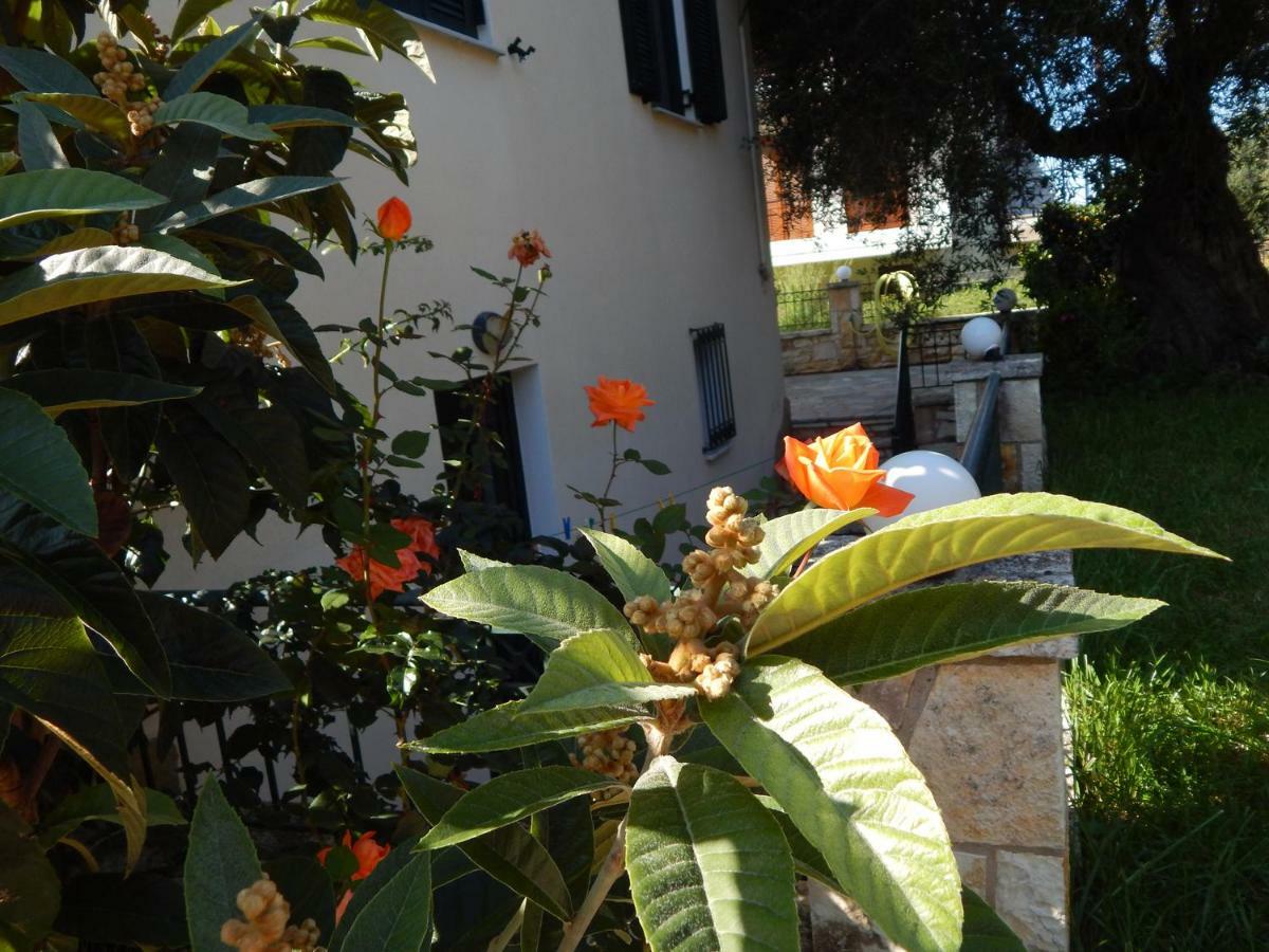 Villa Dimitra Sívota エクステリア 写真